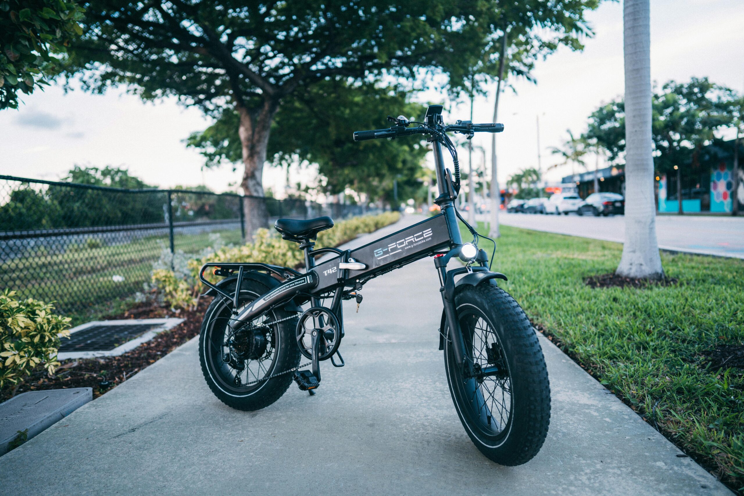 Child Electric Bike